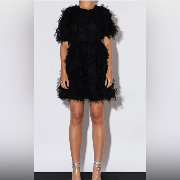 Endless Rose Black Mesh Dress - Picture 5 of 6